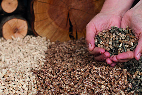 Cómo sabemos si el pellet es de buena calidad? Consejos para