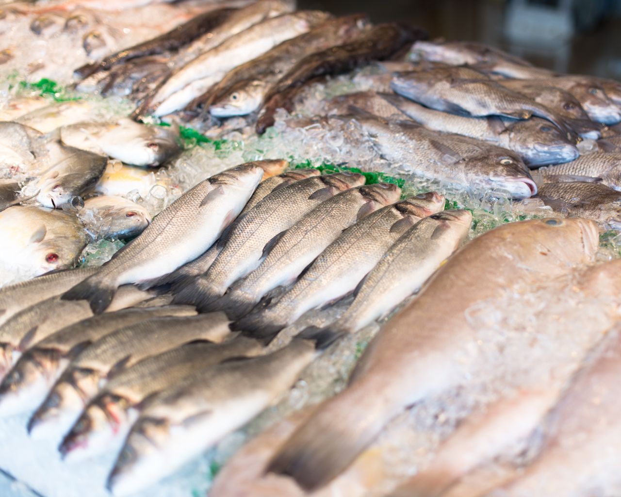 040 2016 о безопасности рыбы. Свежемороженая рыба. Замороженная рыба. Безопасность рыбы и рыбной продукции. Качество рыбы.