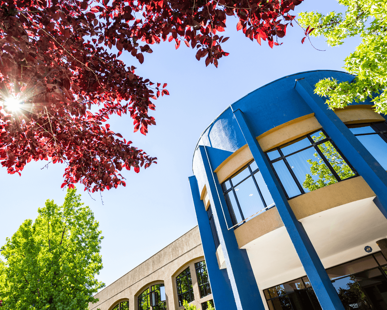 Ranking posiciona MBA UTalca como mejor programa dictado en regiones 