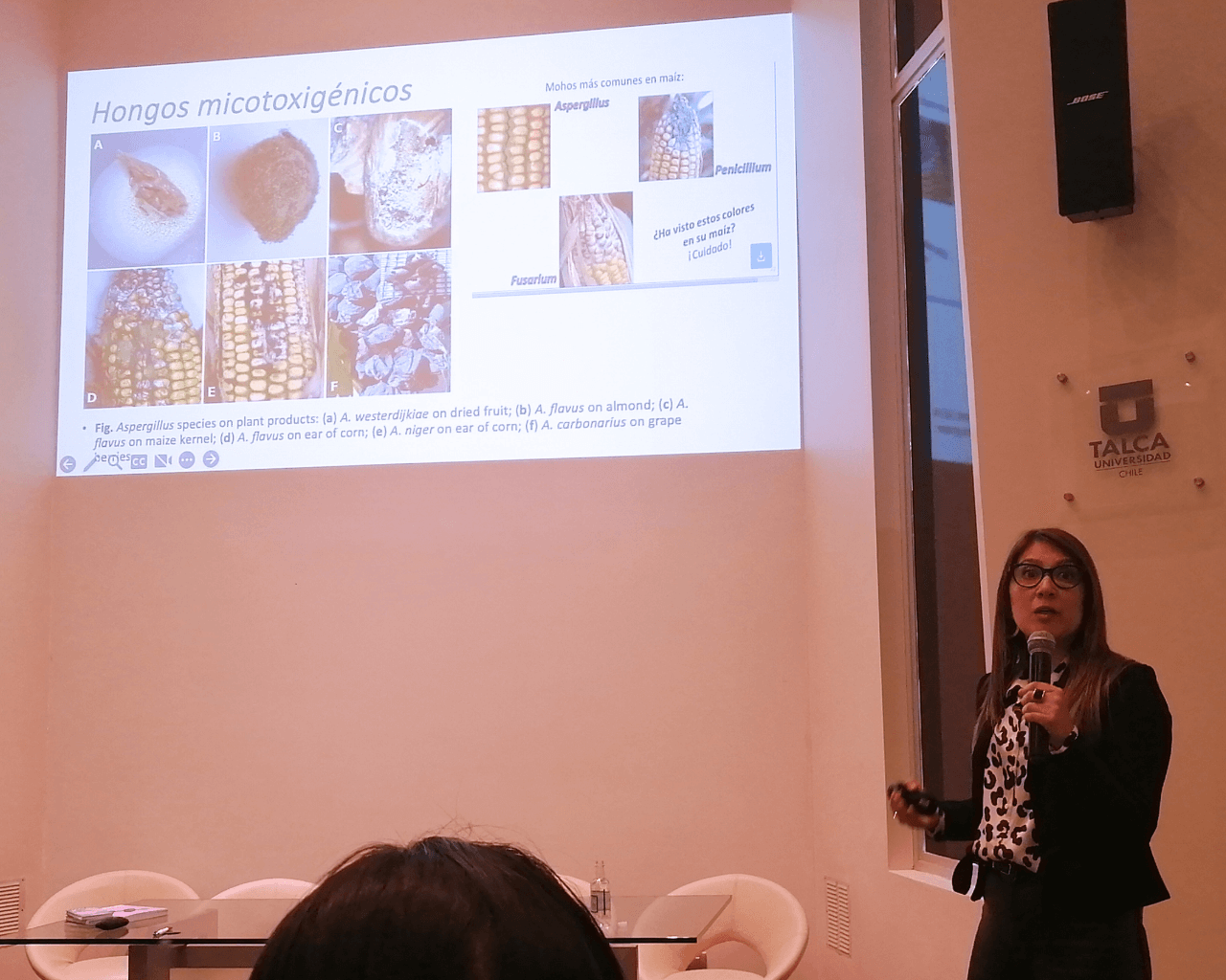 Analizan resistencia antimicrobiana y combate a los hongos en los alimentos