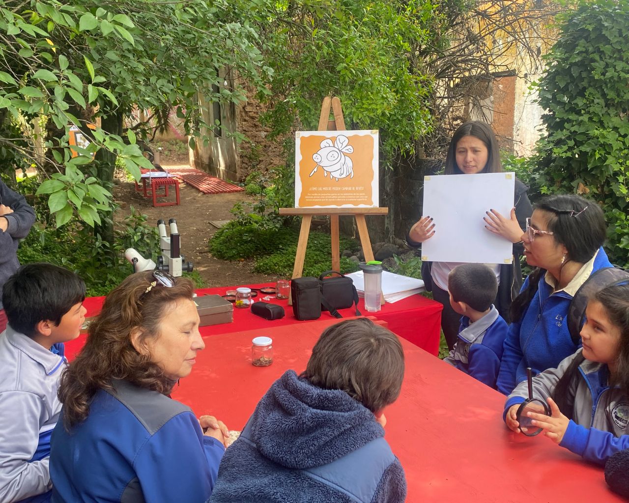 Estudiante de Arquitectura convirtió una ruina en un jardín para Talca