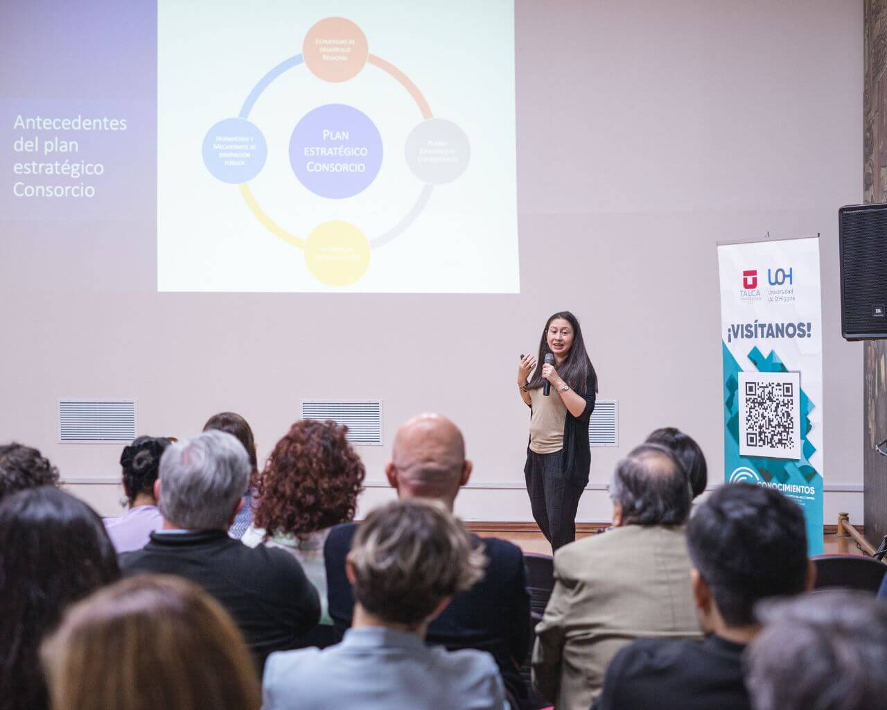 Iniciativa permitirá rescatar patrimonio cultural e identitario del Maule y O'Higgins