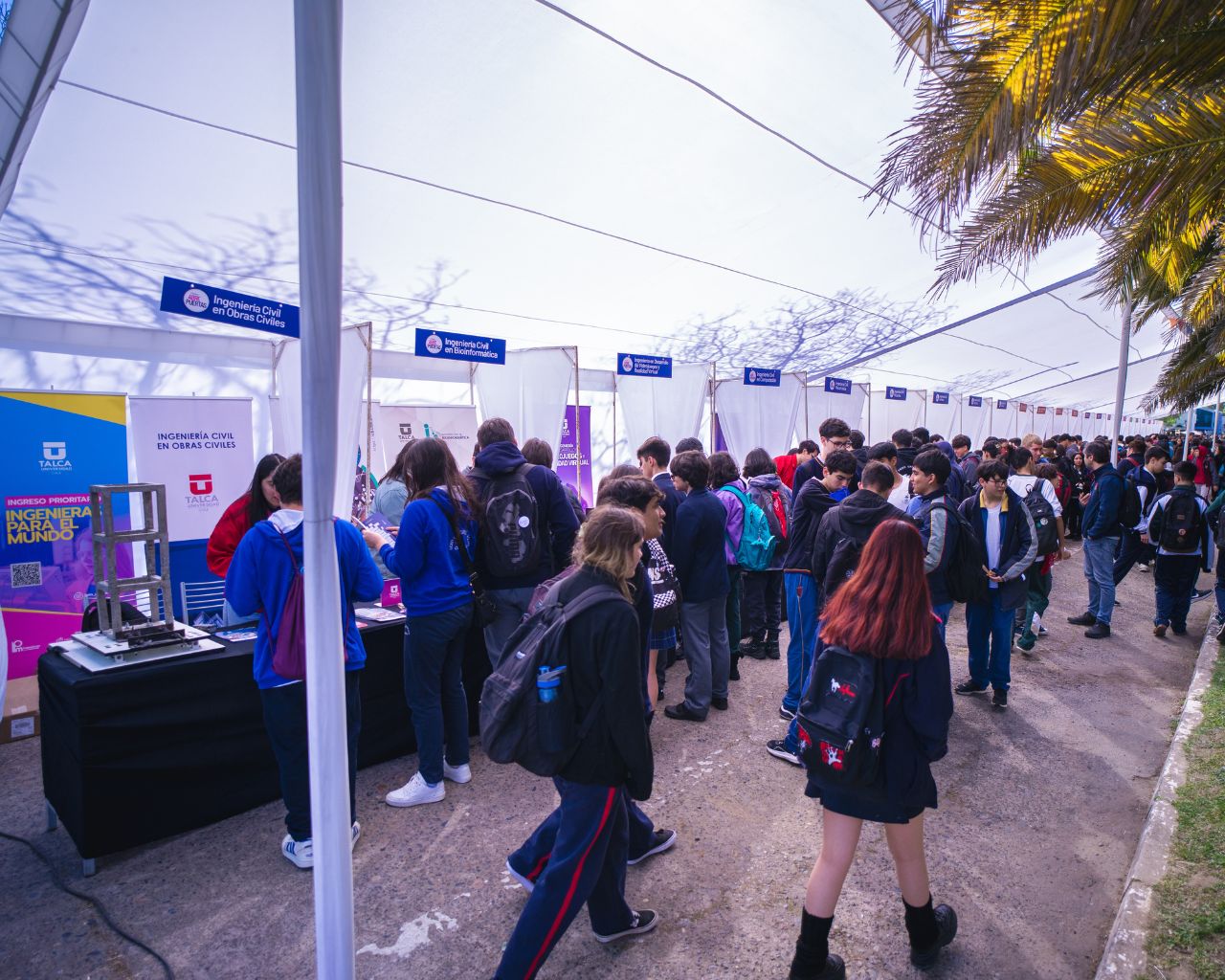 Con diversas actividades la UTalca recibirá a sus futuros/as estudiantes universitarios/as 