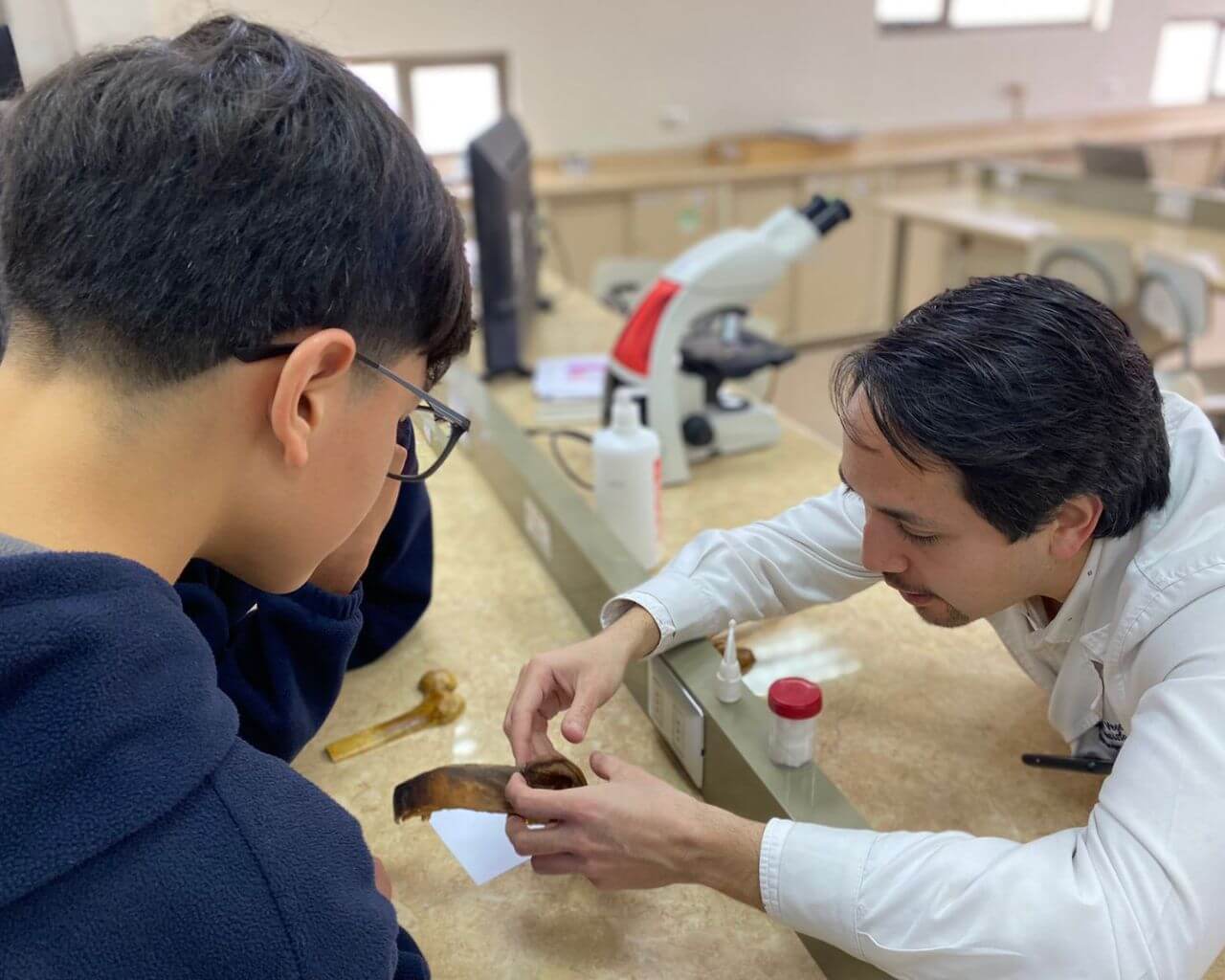 Universidad de Talca realiza talleres científicos para niñas y niños en verano 