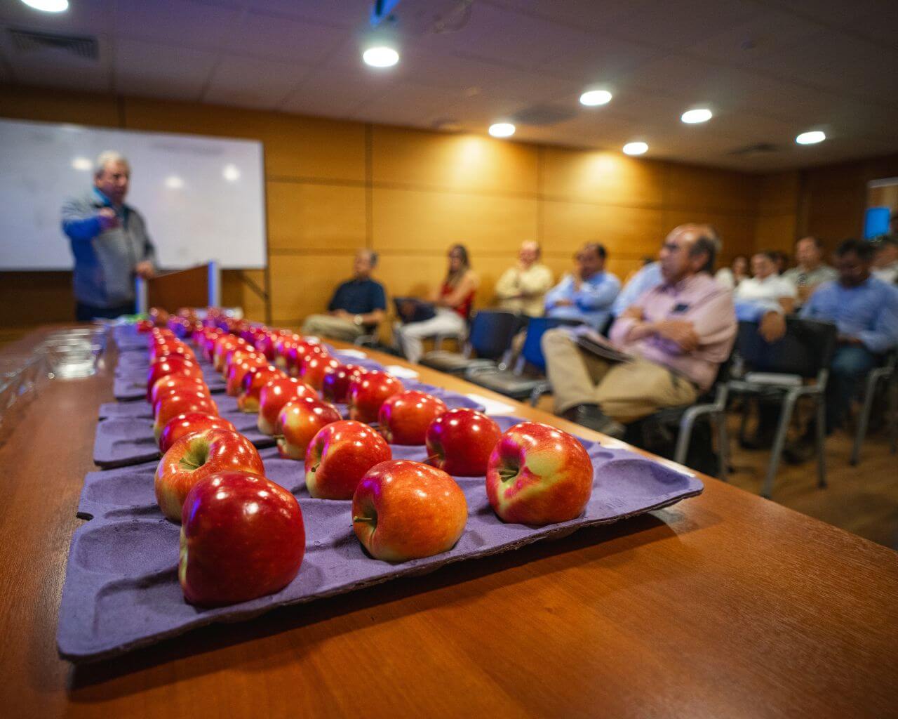 Explican que temperaturas extremas de verano causaron efectos negativos en las manzanas