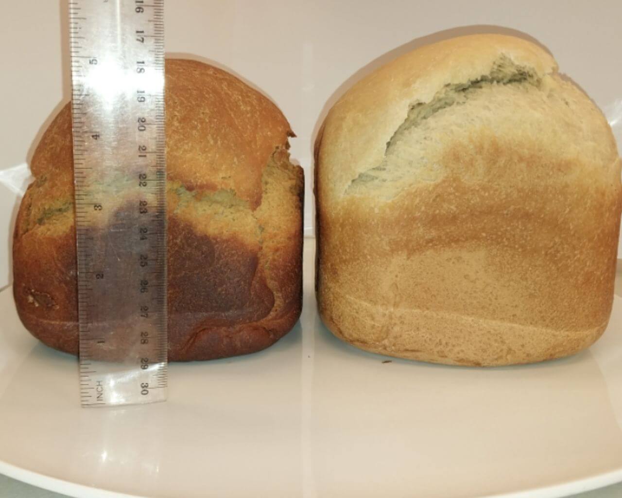 Comprueban que pan con harina de porotos disminuye   niveles de glucemia en personas mayores