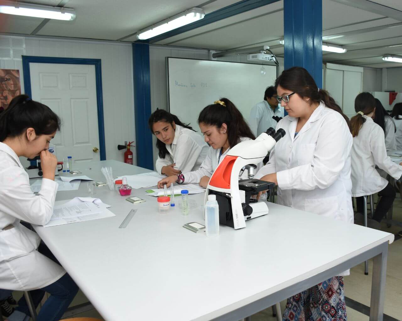 Invitan a participar de cursos científicos de verano