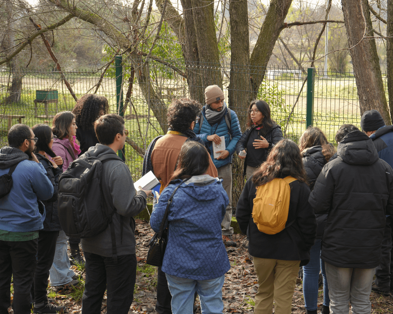 Masiva convocatoria al primer Festival Fungi de Talca