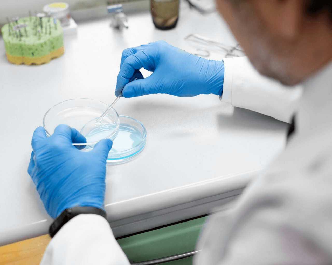 Microbioma: ¿Qué es y cuál es su importancia en nuestra salud?