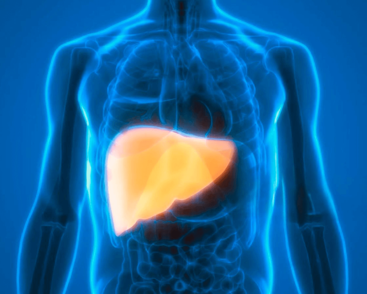 Daño hepático y cardiopatía: Advierten que estas enfermedades podrían ser la próxima pandemia
