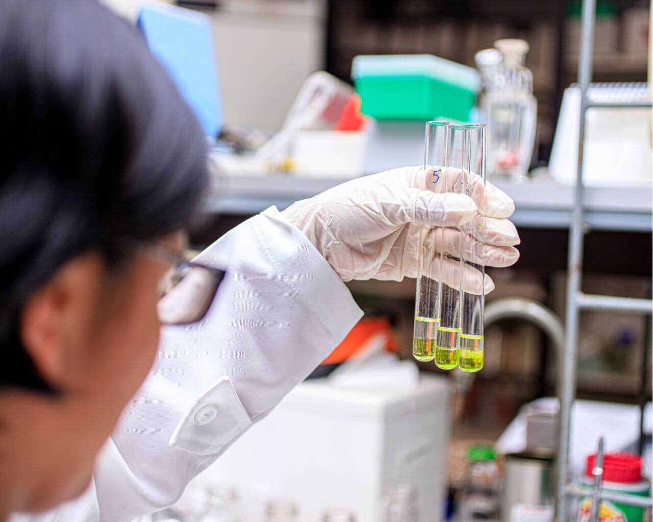 Universidad abre convocatoria para el Premio a la Excelencia Docente 2025