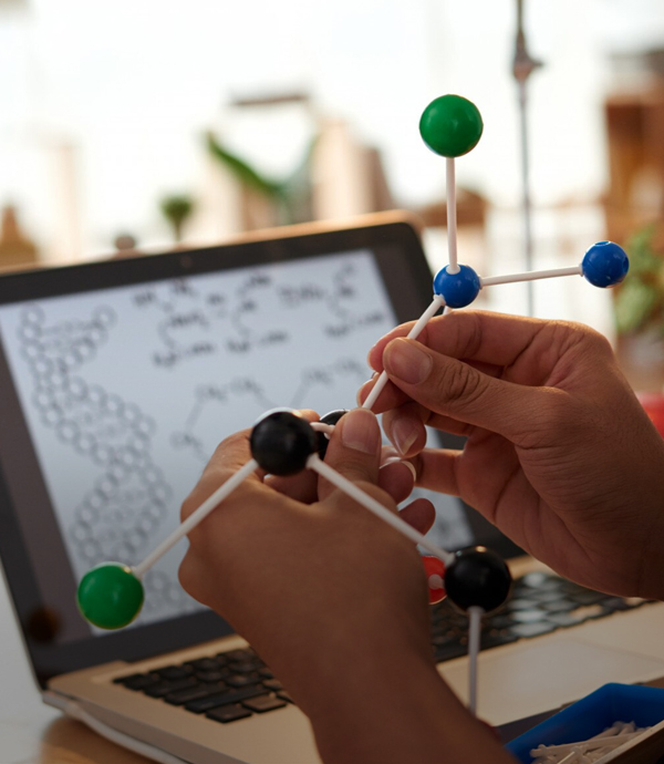 Centro de Bioinformática, Simulación y Modelado