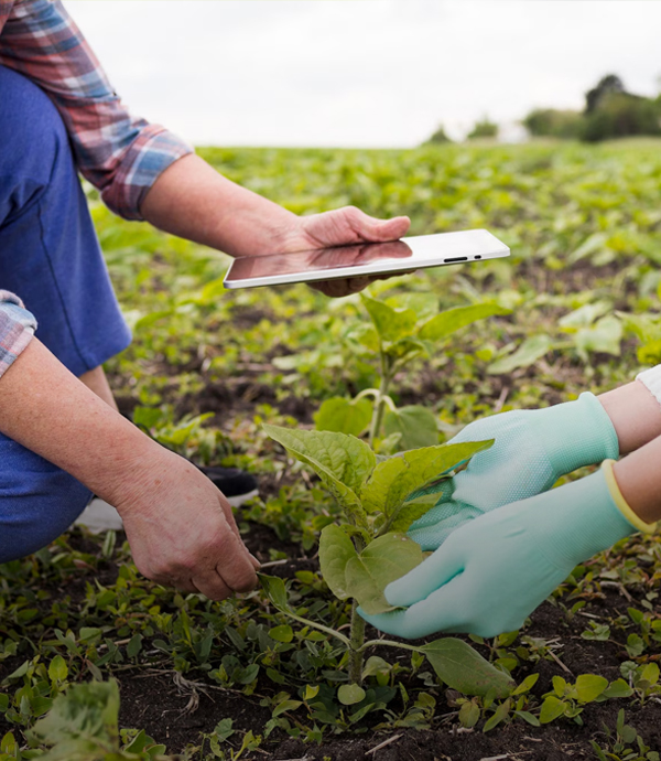 Centro de Investigación y Transferencia en Riego y Agroclimatología