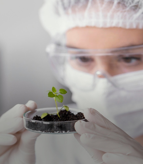 Centro de Mejoramiento Genético y Fenómica Vegetal