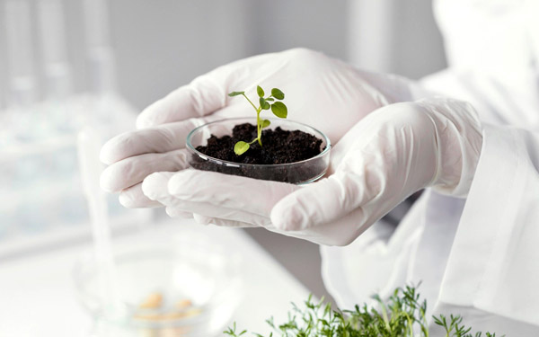 Ciencias Agrarias