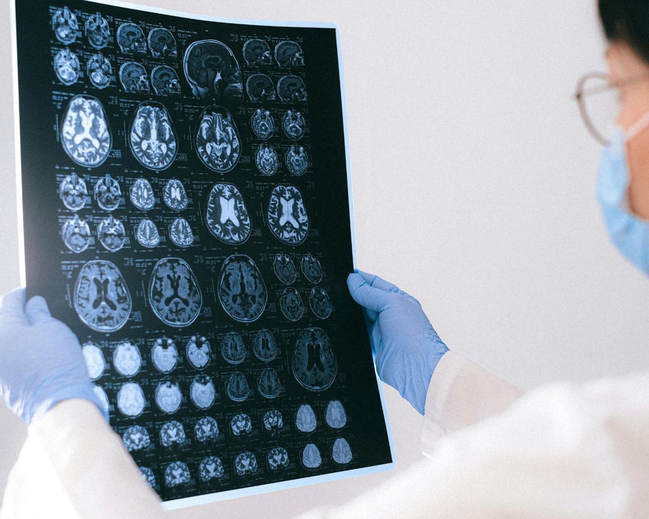 Investigación estudia cómo el cerebro adquiere experticia visual al procesar imágenes