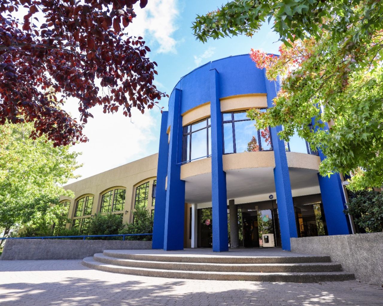 UTalca abrió Doctorado en Management