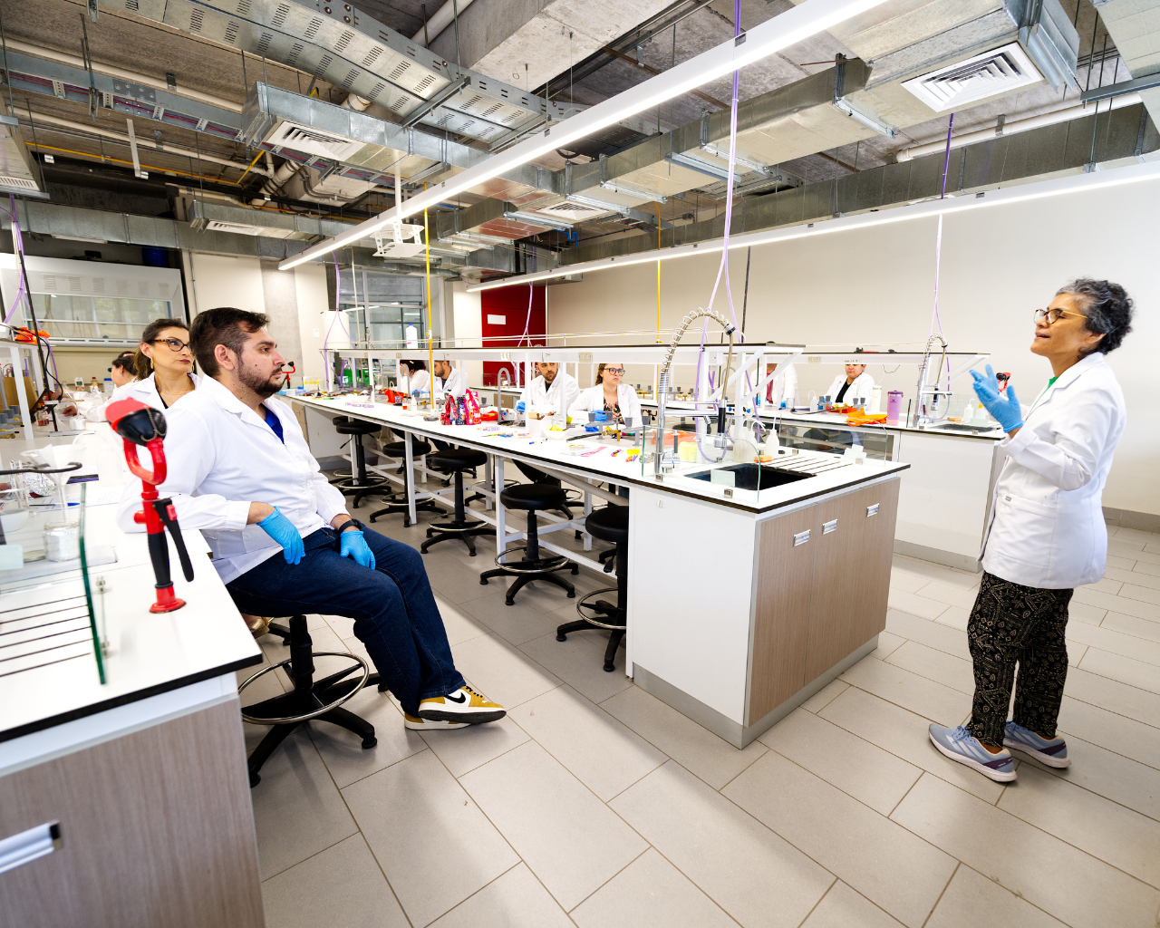 Jornada de Actualización Docente en Química ejecuta cuarta versión