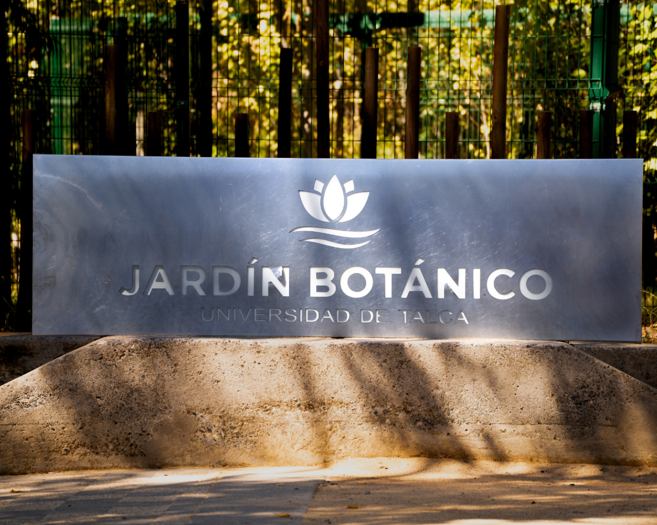 Declaración Pública