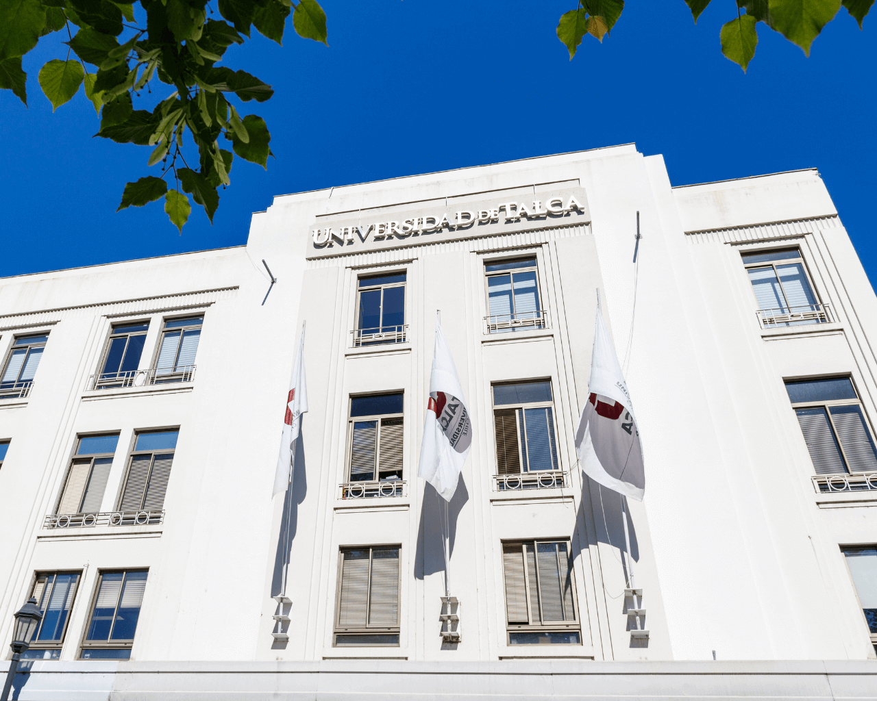 Elecciones Rectoría 2026: horario de votación segunda vuelta