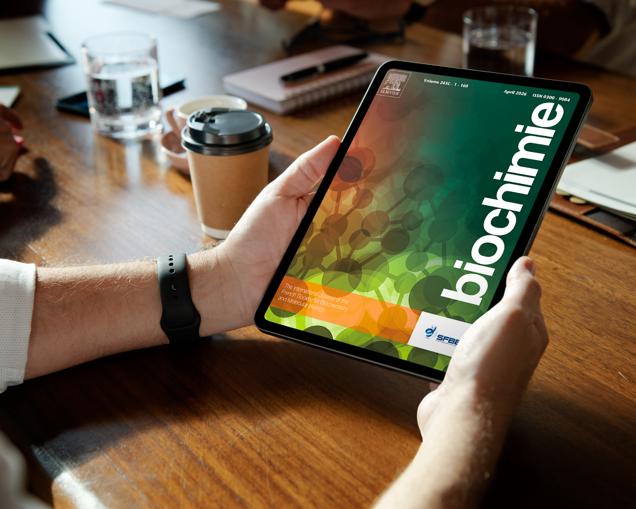 Académico es nombrado editor de revista internacional