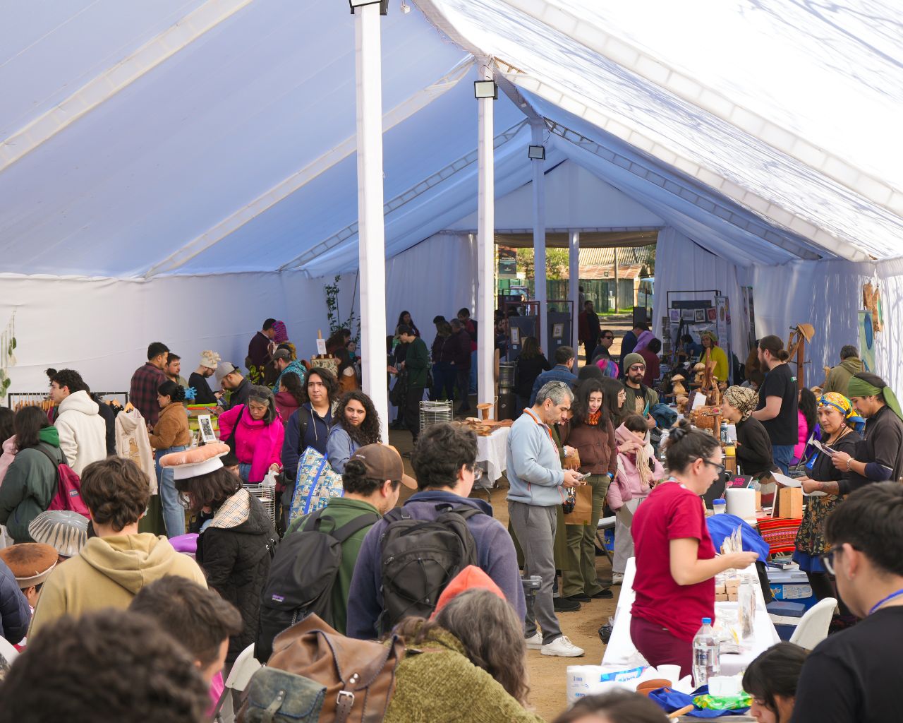 Festival Fungi congregó a más de mil personas en la UTalca