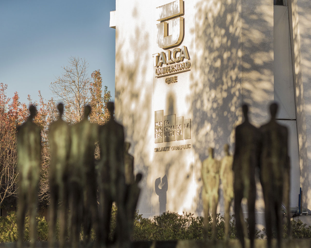 Universidad de Talca obtiene histórica acreditación máxima de 7 años