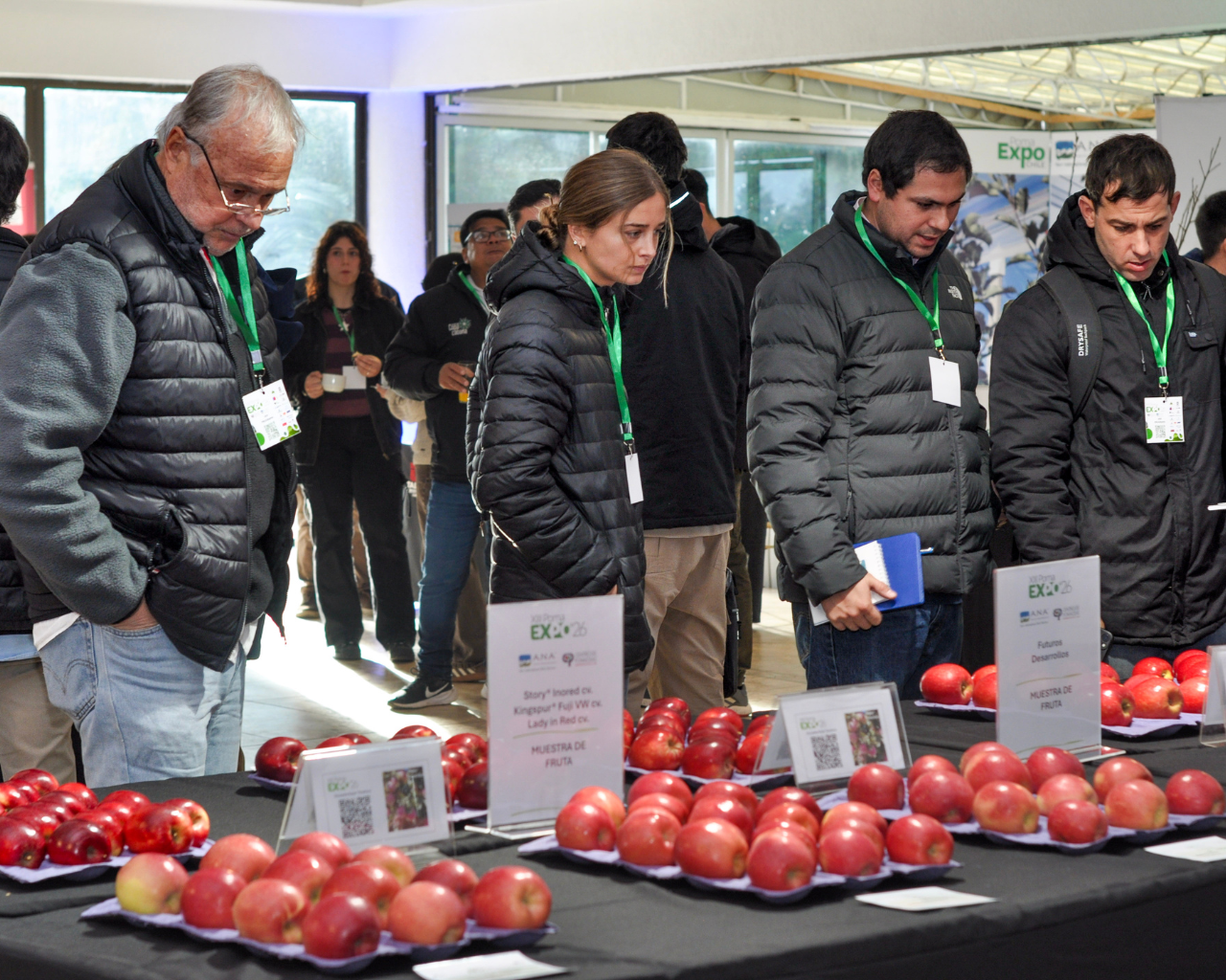 UTalca reunió a principales actores del mercado de las pomáceas