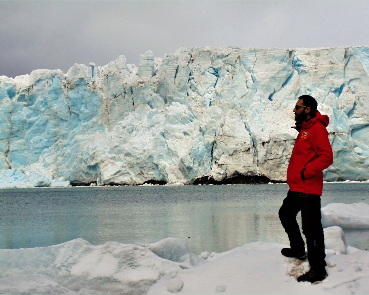 Proyecto anticipa impacto de especies invasoras en Antártica
