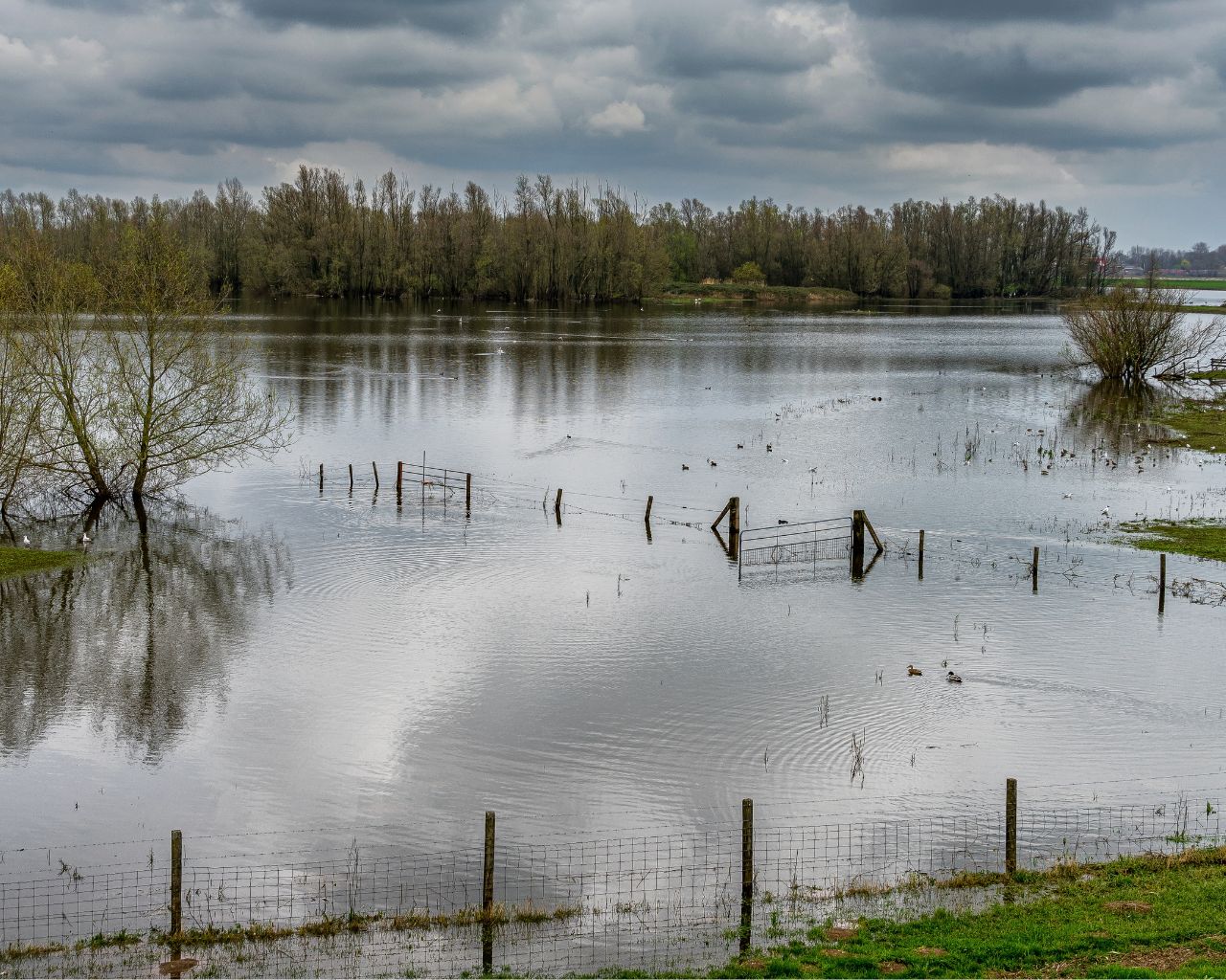 Ecoansiedad: la crisis climática golpea la salud mental
