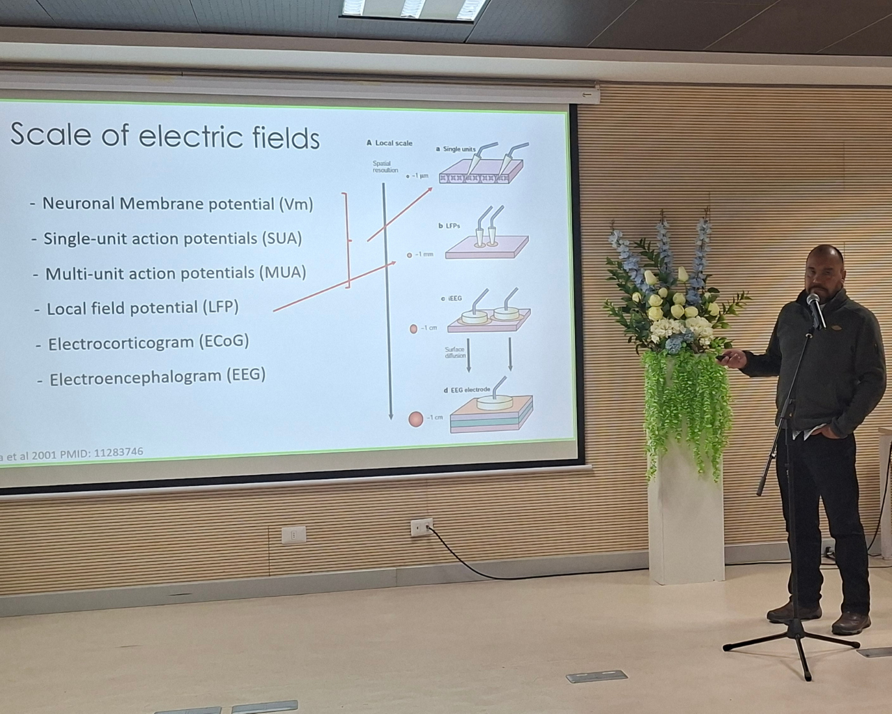 Presentan estudio de efectos de anestesia en Hospital Curicó
