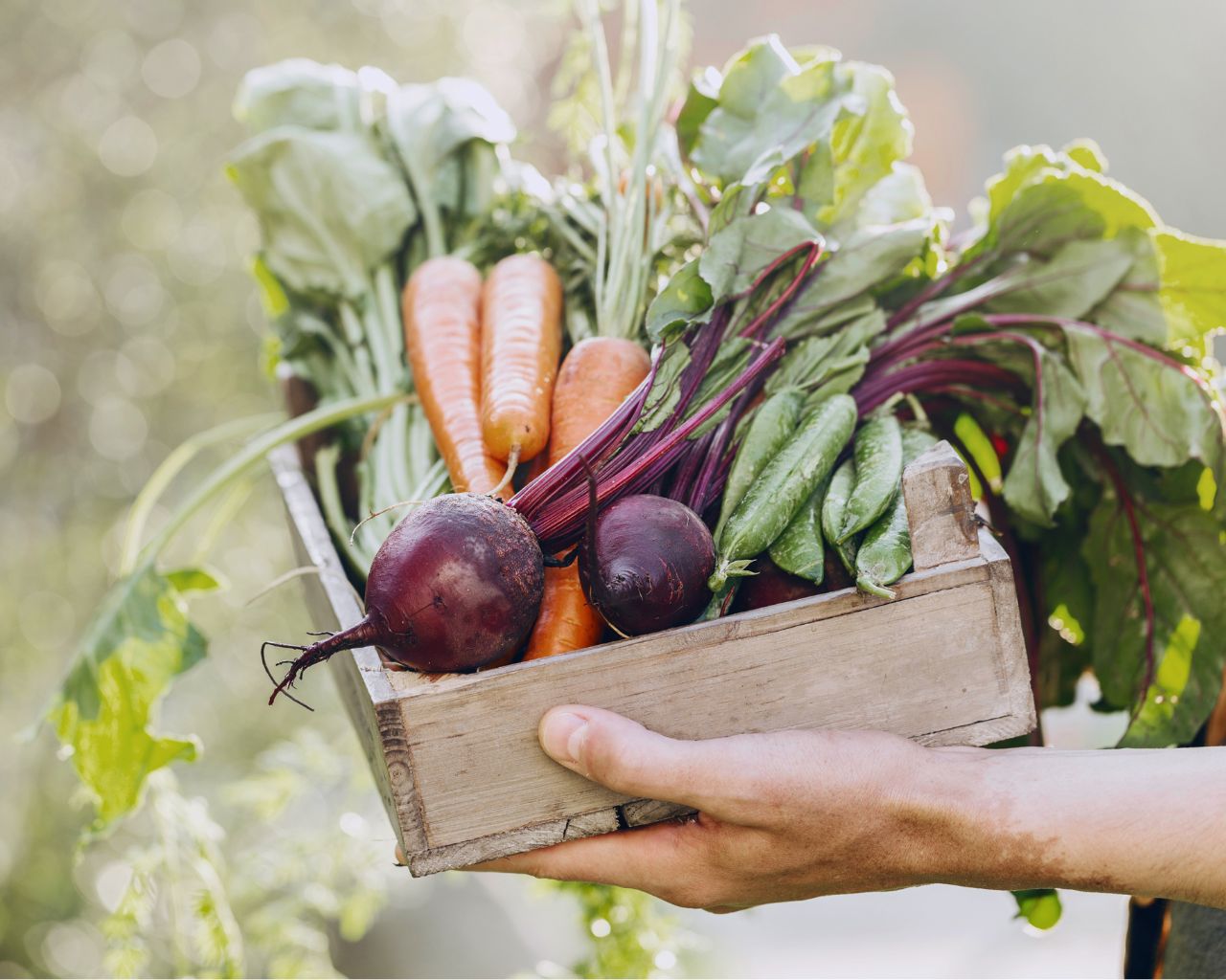 Gastronomía sostenible: clave para el futuro