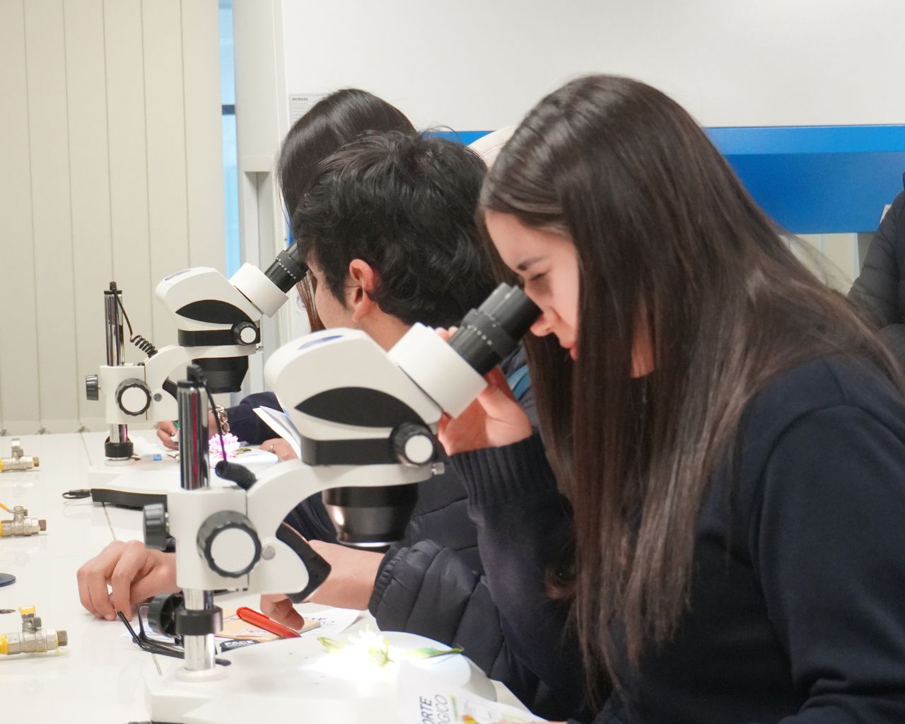Más de 500 escolares vivieron el Abre Puertas en Linares